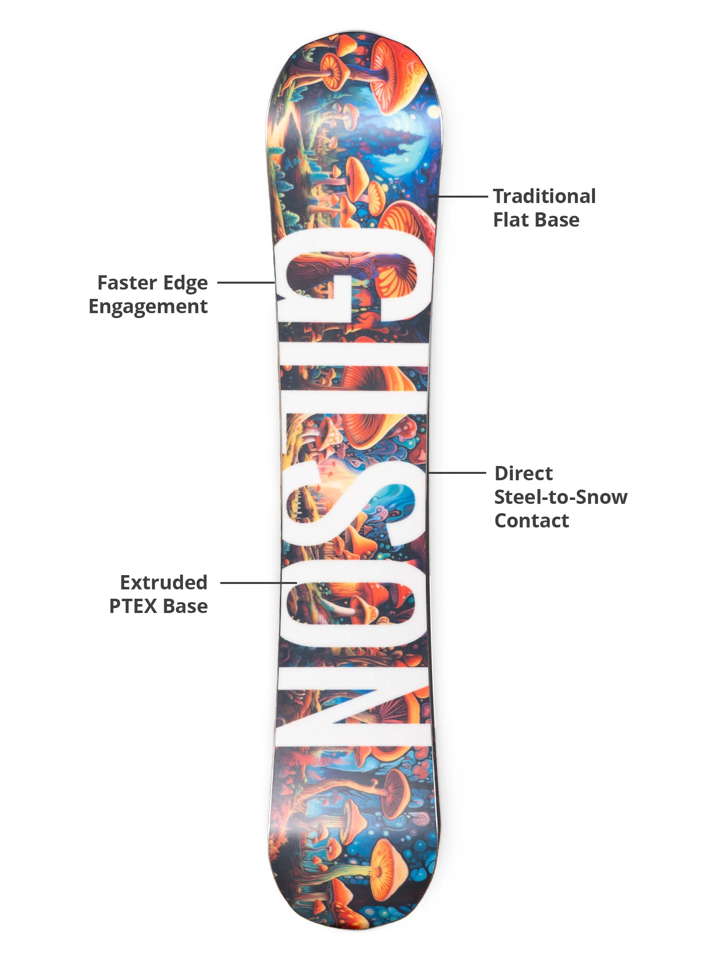 Go Bear - HAPPY HOUR Series - Image 6