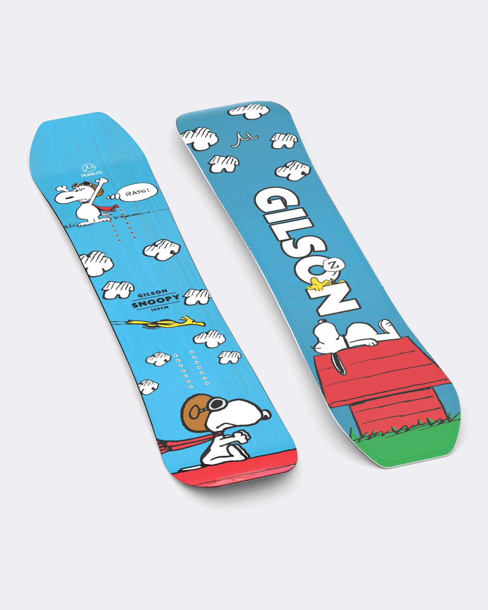 Snoopy (1 of 75) - Image 5